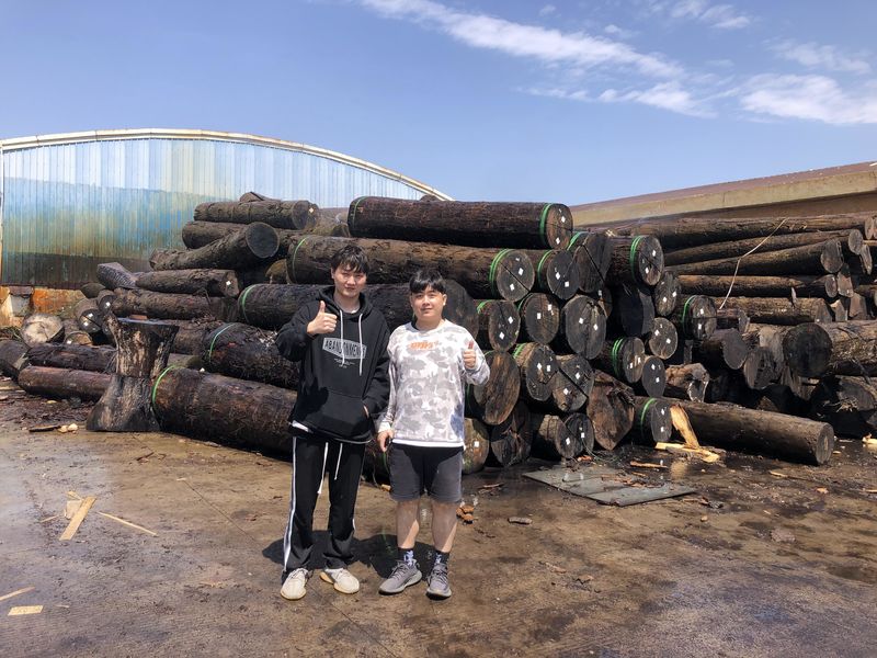 Dongguan Lingfeng Wood Industry Co., Ltd. linea di produzione del fabbricante
