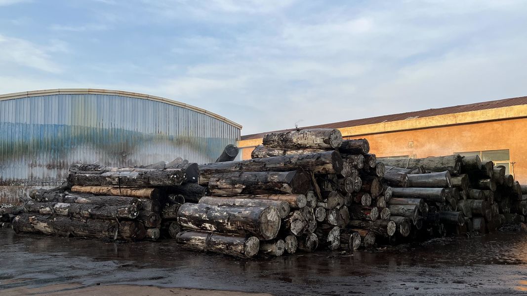 Dongguan Lingfeng Wood Industry Co., Ltd. linea di produzione del fabbricante