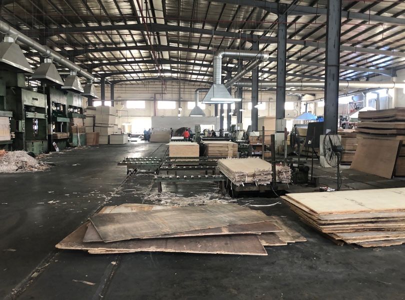Dongguan Lingfeng Wood Industry Co., Ltd. linea di produzione del fabbricante