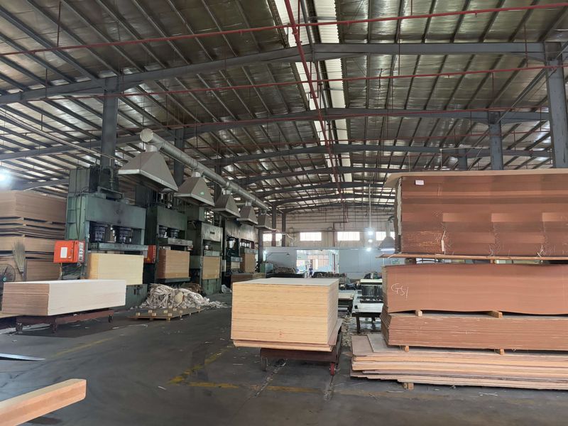Dongguan Lingfeng Wood Industry Co., Ltd. linea di produzione del fabbricante