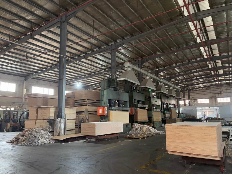 Dongguan Lingfeng Wood Industry Co., Ltd. linea di produzione del fabbricante