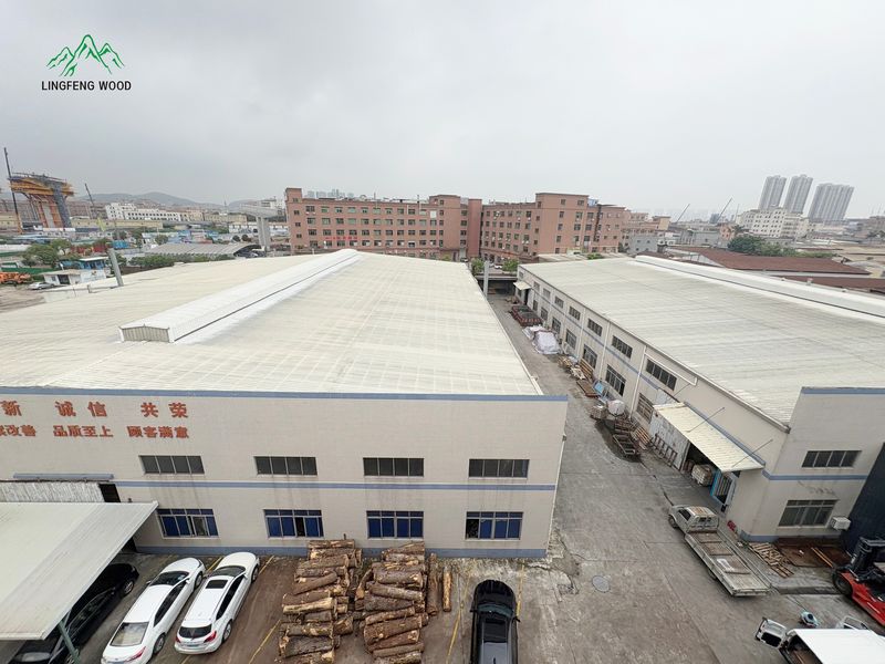 Dongguan Lingfeng Wood Industry Co., Ltd. linea di produzione del fabbricante