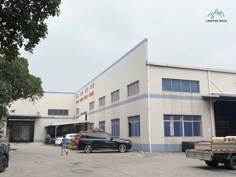 Dongguan Lingfeng Wood Industry Co., Ltd. linea di produzione del fabbricante